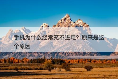 手机为什么经常充不进电？原来是这个原因