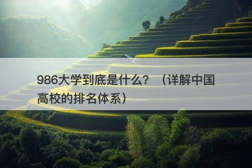 986大学到底是什么？（详解中国高校的排名体系）