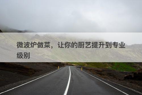 微波炉做菜，让你的厨艺提升到专业级别