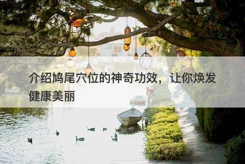 介绍鸠尾穴位的神奇功效，让你焕发健康美丽