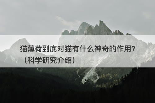 猫薄荷到底对猫有什么神奇的作用？（科学研究介绍）