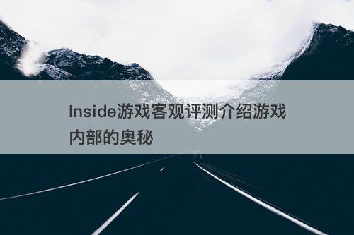Inside游戏客观评测介绍游戏内部的奥秘