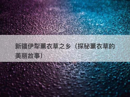 新疆伊犁薰衣草之乡（探秘薰衣草的美丽故事）