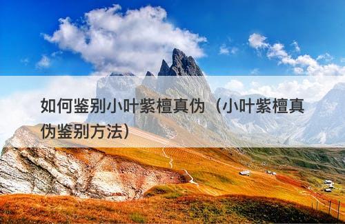 如何鉴别小叶紫檀真伪（小叶紫檀真伪鉴别方法）