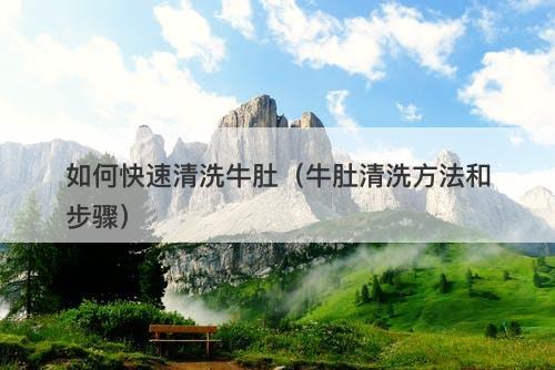 如何快速清洗牛肚（牛肚清洗方法和步骤）