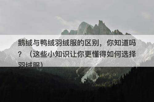 鹅绒与鸭绒羽绒服的区别，你知道吗？（这些小知识让你更懂得如何选择羽绒服）