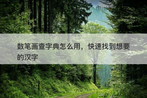 数笔画查字典怎么用，快速找到想要的汉字