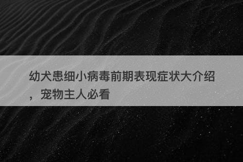 幼犬患细小病毒前期表现症状大介绍，宠物主人必看