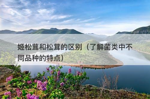 姬松茸和松茸的区别（了解菌类中不同品种的特点）