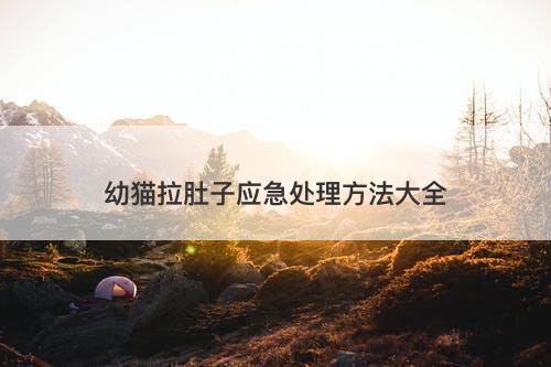 幼猫拉肚子应急处理方法大全