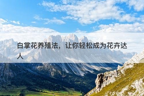 白掌花养殖法，让你轻松成为花卉达人