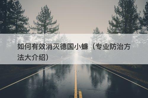 如何有效消灭德国小蠊（专业防治方法大介绍）