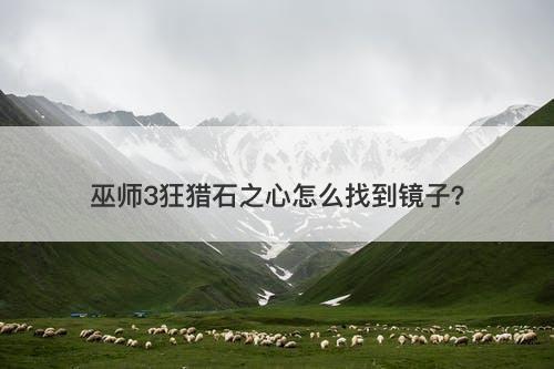 巫师3狂猎石之心怎么找到镜子？