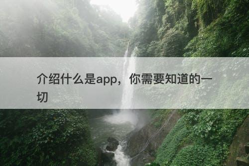 介绍什么是app，你需要知道的一切