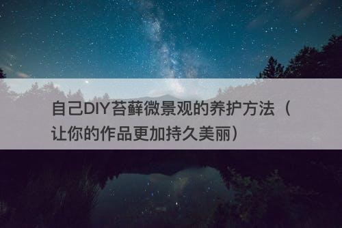自己DIY苔藓微景观的养护方法（让你的作品更加持久美丽）