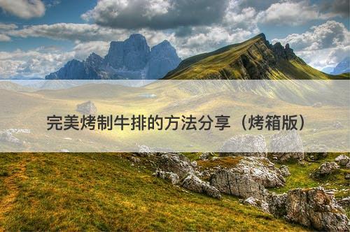 完美烤制牛排的方法分享（烤箱版）