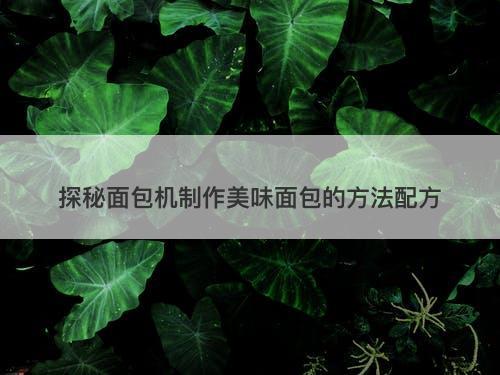 探秘面包机制作美味面包的方法配方