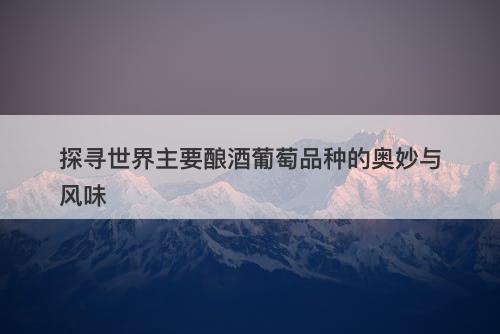 探寻世界主要酿酒葡萄品种的奥妙与风味