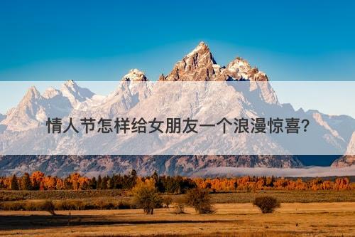 情人节怎样给女朋友一个浪漫惊喜？