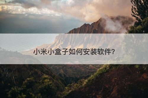 小米小盒子如何安装软件？