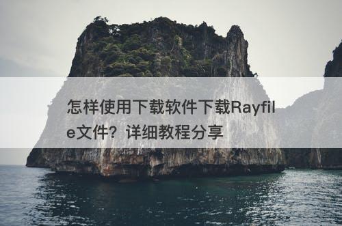 怎样使用下载软件下载Rayfile文件？详细教程分享