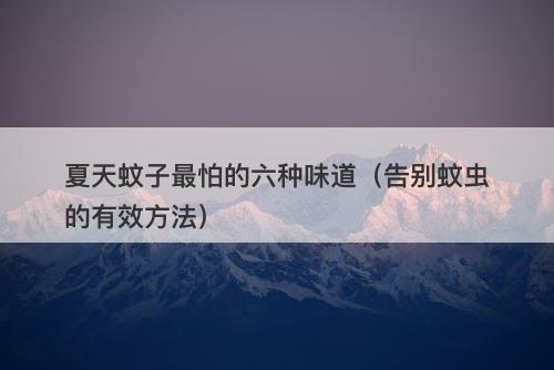 夏天蚊子最怕的六种味道（告别蚊虫的有效方法）