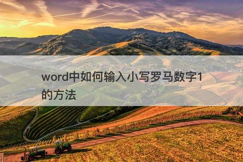 word中如何输入小写罗马数字1的方法