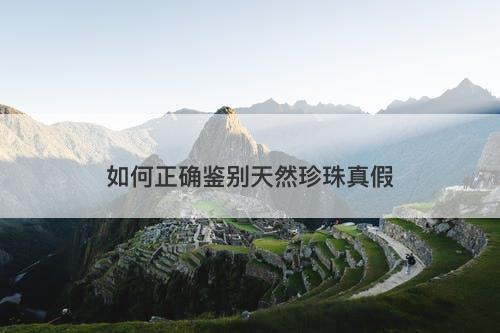 如何正确鉴别天然珍珠真假