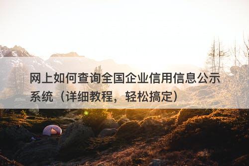 网上如何查询全国企业信用信息公示系统（详细教程，轻松搞定）