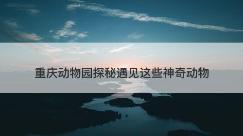重庆动物园探秘遇见这些神奇动物