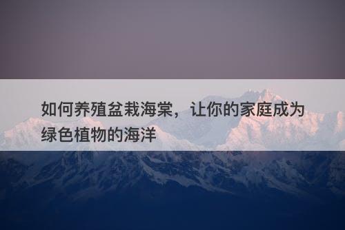 如何养殖盆栽海棠，让你的家庭成为绿色植物的海洋