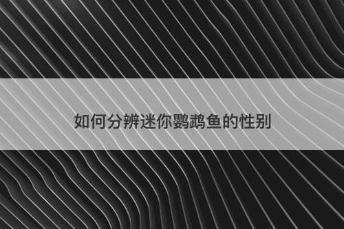 如何分辨迷你鹦鹉鱼的性别