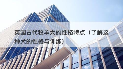 英国古代牧羊犬的性格特点（了解这种犬的性格与训练）