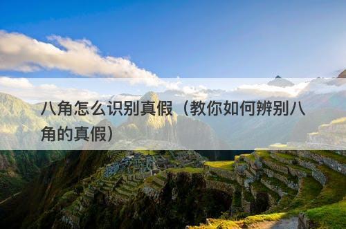 八角怎么识别真假（教你如何辨别八角的真假）