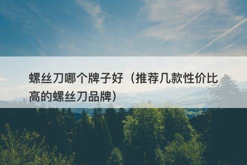 螺丝刀哪个牌子好（推荐几款性价比高的螺丝刀品牌）