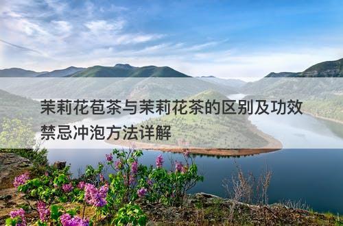 茉莉花苞茶与茉莉花茶的区别及功效禁忌冲泡方法详解