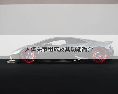 人体关节组成及其功能简介