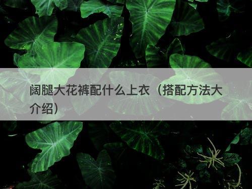 阔腿大花裤配什么上衣（搭配方法大介绍）