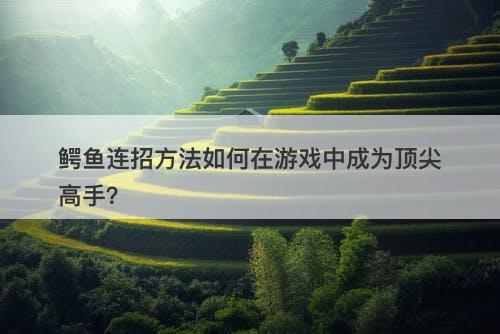 鳄鱼连招方法如何在游戏中成为顶尖高手？