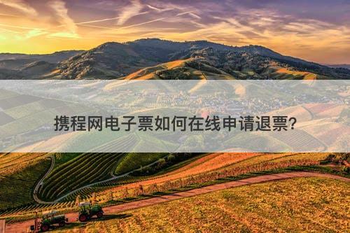 携程网电子票如何在线申请退票？