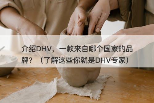 介绍DHV，一款来自哪个国家的品牌？（了解这些你就是DHV专家）