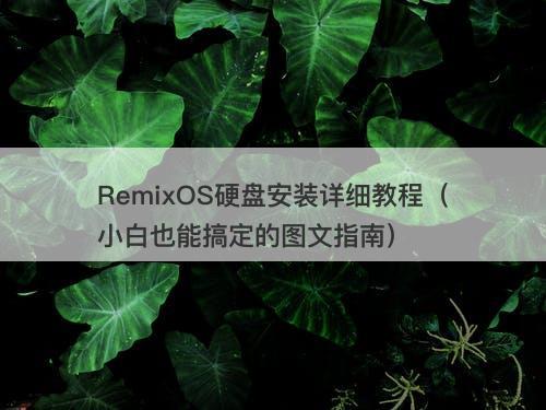 RemixOS硬盘安装详细教程（小白也能搞定的图文指南）