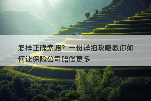怎样正确索赔？一份详细攻略教你如何让保险公司赔偿更多