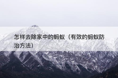 怎样去除家中的蚂蚁（有效的蚂蚁防治方法）