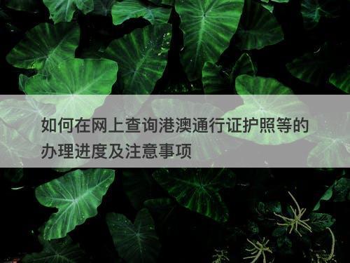 如何在网上查询港澳通行证护照等的办理进度及注意事项