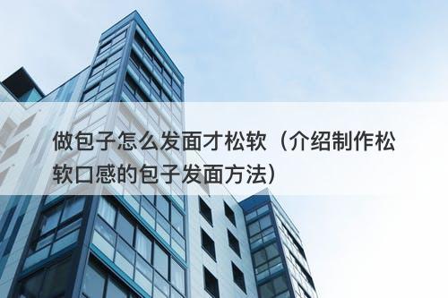 做包子怎么发面才松软（介绍制作松软口感的包子发面方法）