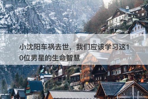 小沈阳车祸去世，我们应该学习这10位男星的生命智慧