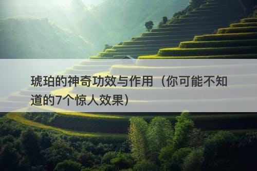 琥珀的神奇功效与作用（你可能不知道的7个惊人效果）