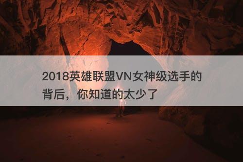 2018英雄联盟VN女神级选手的背后，你知道的太少了