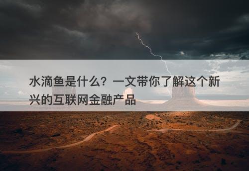 水滴鱼是什么？一文带你了解这个新兴的互联网金融产品